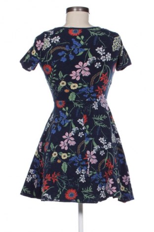 Kleid Dorothy Perkins, Größe M, Farbe Mehrfarbig, Preis € 9,99