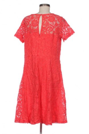 Kleid Dorothy Perkins, Größe XL, Farbe Rot, Preis 31,99 €