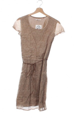 Kleid Esprit, Größe XS, Farbe Mehrfarbig, Preis € 26,99