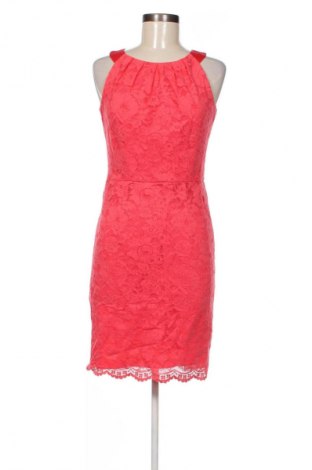 Kleid Marie Lund, Größe S, Farbe Rot, Preis € 33,99