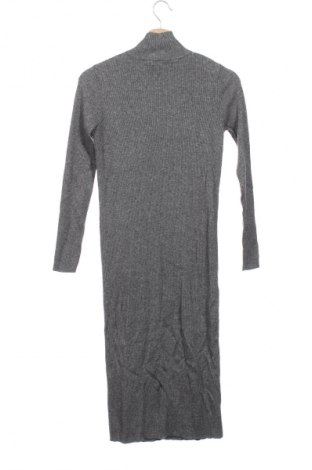 Kleid Massimo Dutti, Größe XS, Farbe Grau, Preis 31,99 €