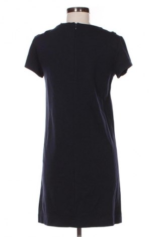 Kleid Massimo Dutti, Größe L, Farbe Blau, Preis 25,99 €