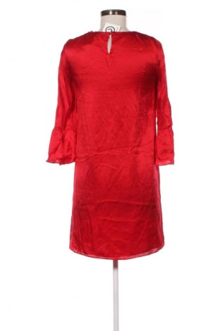 Kleid Massimo Dutti, Größe S, Farbe Rot, Preis 99,33 €