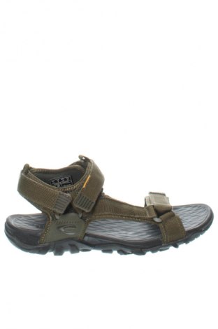 Sandalen Camel Active, Größe 42, Farbe Grün, Preis 57,50 €