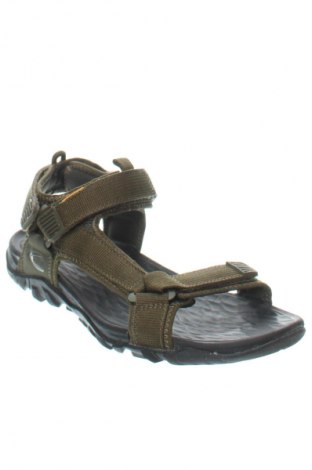 Sandalen Camel Active, Größe 42, Farbe Grün, Preis 57,50 €