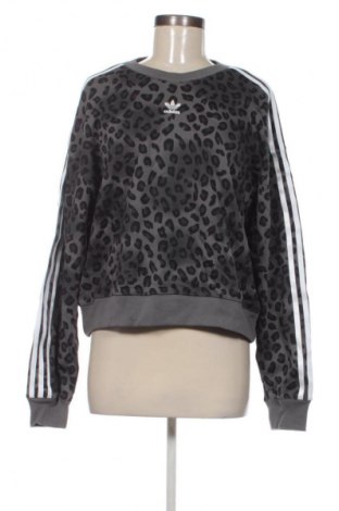 Damen Shirt Adidas Originals, Größe M, Farbe Mehrfarbig, Preis 71,99 €