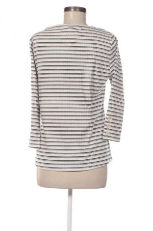 Dámská halenka Colloseum, Velikost XXL, Barva Vícebarevné, Cena  119,00 Kč