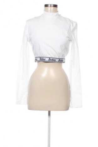 Γυναικεία μπλούζα Dickies, Μέγεθος L, Χρώμα Λευκό, Τιμή 47,99 €