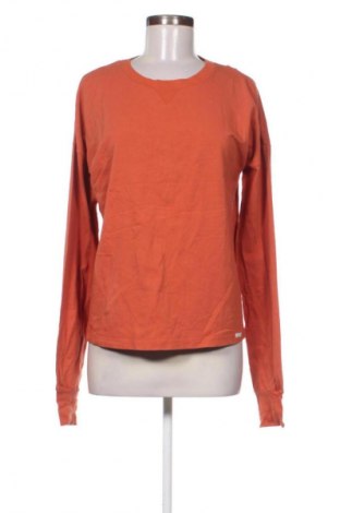 Dámská halenka SKNB, Velikost L, Barva Růžová, Cena  169,00 Kč