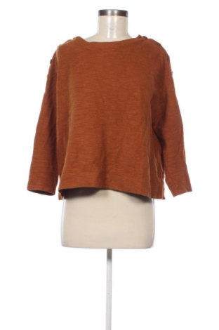 Dámská halenka Sessun, Velikost L, Barva Hnědá, Cena  539,00 Kč