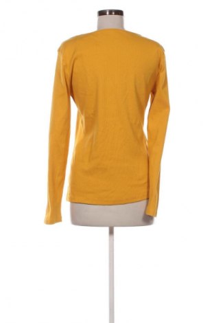 Dámska blúza Unbranded, Veľkosť L, Farba Žltá, Cena  3,95 €