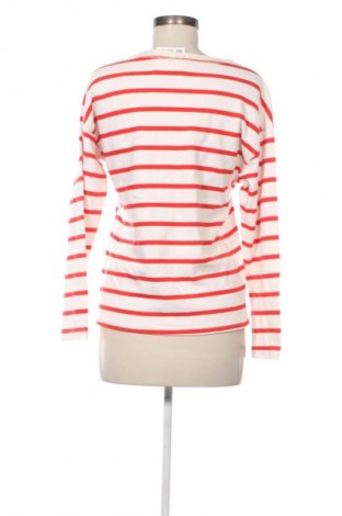 Damen Shirt Zara, Größe M, Farbe Mehrfarbig, Preis 10,99 €