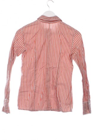 Damska koszula Marco Pecci, Rozmiar XS, Kolor Kolorowy, Cena 30,99 zł