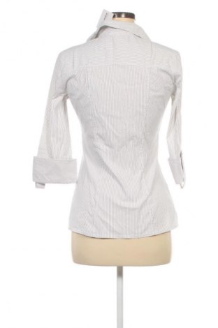 Damenbluse Promod, Größe M, Farbe Mehrfarbig, Preis 20,96 €