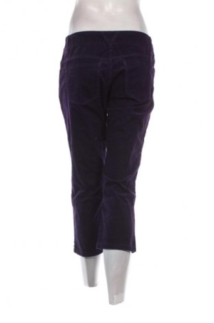 Damen Cordhose H&M, Größe M, Farbe Lila, Preis 9,99 €