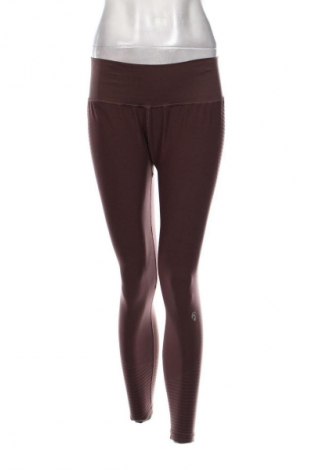 Damen Leggings Oceans Apart, Größe XL, Farbe Braun, Preis € 14,99