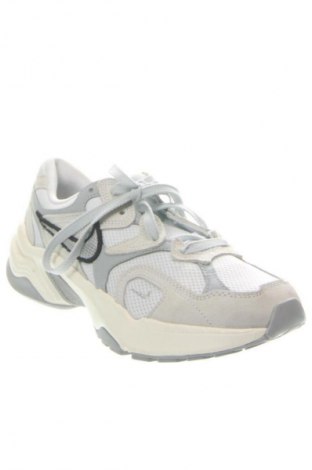 Damenschuhe Nike, Größe 40, Farbe Mehrfarbig, Preis 137,99 €