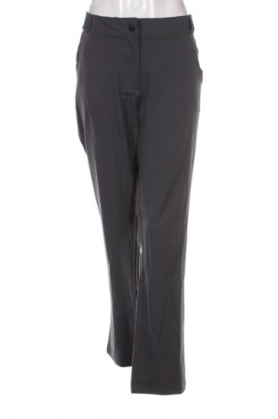 Damenhose Crane, Größe XL, Farbe Grau, Preis 12,99 €