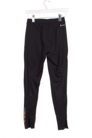 Pánské tepláky  Adidas, Velikost XS, Barva Černá, Cena  429,00 Kč