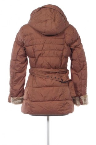 Damenjacke Colours Of The World, Größe M, Farbe Braun, Preis 18,99 €