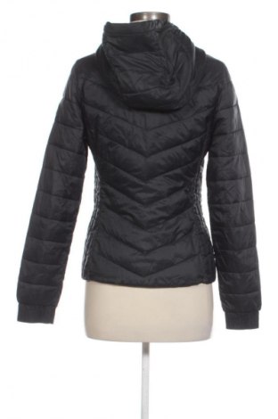 Damenjacke Hollister, Größe S, Farbe Schwarz, Preis 16,99 €