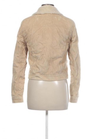 Γυναικείο μπουφάν Hollister, Μέγεθος XS, Χρώμα Καφέ, Τιμή 13,99 €