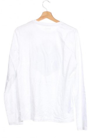 Kinder Shirt Pepperts!, Größe 15-18y/ 170-176 cm, Farbe Weiß, Preis 4,99 €