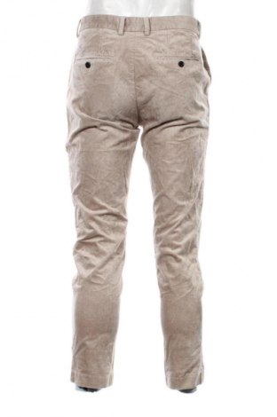 Herren Cordhose H&M, Größe M, Farbe Beige, Preis 7,99 €