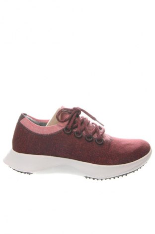 Herrenschuhe AllBirds, Größe 44, Farbe Mehrfarbig, Preis 137,99 €