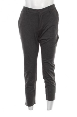 Herrenhose Only & Sons, Größe L, Farbe Grau, Preis € 9,99