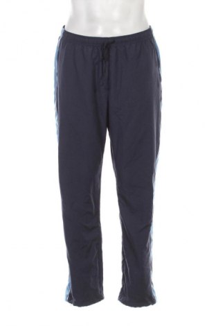 Herrenhose Unbranded, Größe L, Farbe Blau, Preis € 15,99