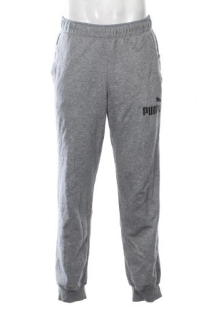 Ανδρικό αθλητικό παντελόνι PUMA, Μέγεθος L, Χρώμα Γκρί, Τιμή 24,99 €