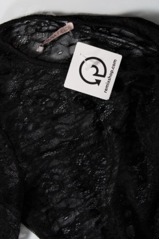 Γυναικεία μπλούζα Anna Field, Μέγεθος S, Χρώμα Μαύρο, 86% πολυαμίδη, 14% ελαστάνη, Τιμή 29,69 €