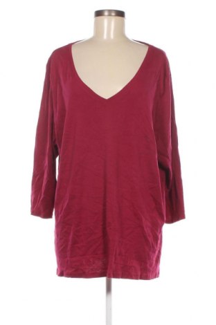 Γυναικεία μπλούζα Avella, Μέγεθος 3XL, Χρώμα Μαύρο, Τιμή 12,08 €