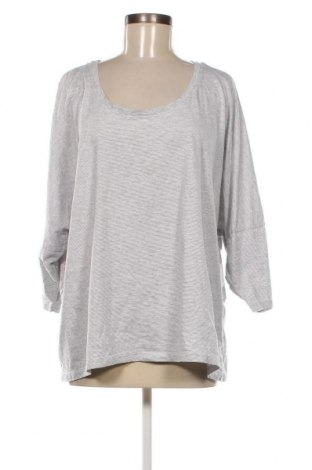 Γυναικεία μπλούζα Avella, Μέγεθος 3XL, Χρώμα Γκρί, Τιμή 11,75 €