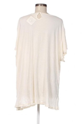 Γυναικεία μπλούζα Avella, Μέγεθος 3XL, Χρώμα Εκρού, Τιμή 10,17 €