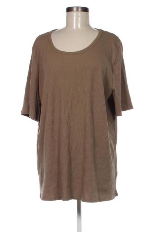 Damen Shirt Avella, Größe XXL, Farbe Grün, Preis 12,51 €