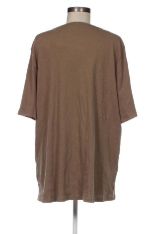 Γυναικεία μπλούζα Avella, Μέγεθος XXL, Χρώμα Πράσινο, Τιμή 10,17 €