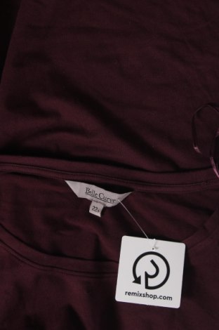 Γυναικεία μπλούζα Belle Curve, Μέγεθος XXL, Χρώμα Βιολετί, Τιμή 3,17 €