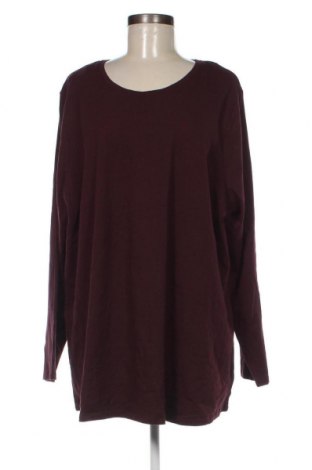 Damen Shirt Belle Curve, Größe XXL, Farbe Lila, Preis 3,04 €