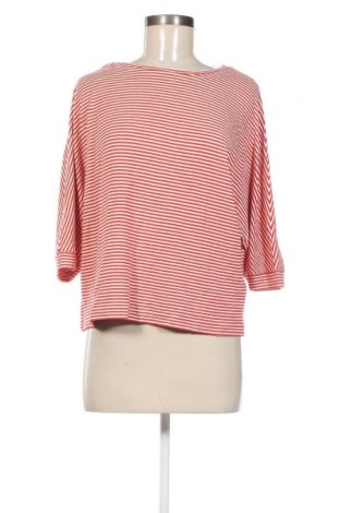 Γυναικεία μπλούζα Betty & Co, Μέγεθος S, Χρώμα Πορτοκαλί, Τιμή 3,79 €