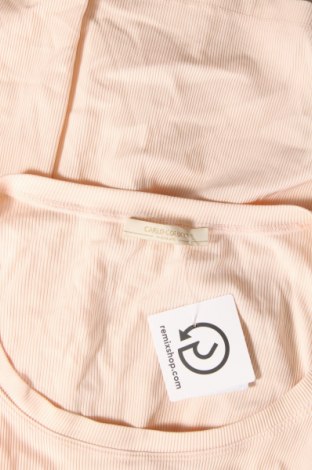 Damen Shirt Carlo Colucci, Größe XL, Farbe Rosa, Preis € 17,27