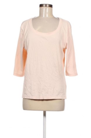 Damen Shirt Carlo Colucci, Größe XL, Farbe Rosa, Preis 14,91 €