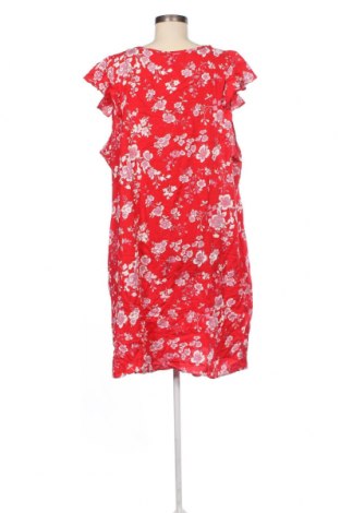 Damen Shirt Ed.it.ed, Größe 4XL, Farbe Rot, Preis 13,22 €