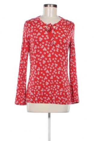 Damen Shirt Essentials by Tchibo, Größe XS, Farbe Mehrfarbig, Preis € 2,38