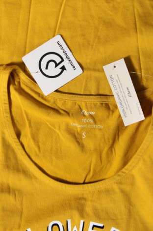 Γυναικεία μπλούζα Etam, Μέγεθος S, Χρώμα Κίτρινο, Τιμή 37,11 €