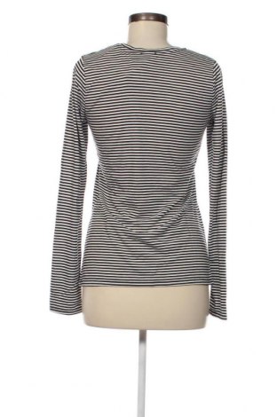 Γυναικεία μπλούζα Fresh Made, Μέγεθος S, Χρώμα Πολύχρωμο, Τιμή 4,45 €