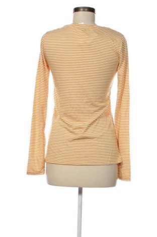Γυναικεία μπλούζα Fresh Made, Μέγεθος S, Χρώμα Πολύχρωμο, Τιμή 5,57 €