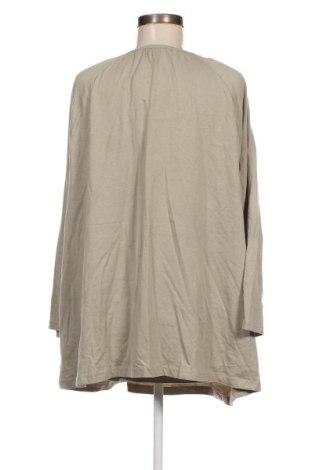 Γυναικεία μπλούζα Janina, Μέγεθος 4XL, Χρώμα Πράσινο, Τιμή 6,70 €