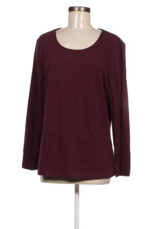 Γυναικεία μπλούζα Janina, Μέγεθος XXL, Χρώμα Κόκκινο, Τιμή 4,03 €